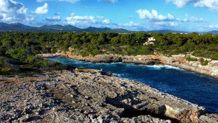 Strand Cala Brafi auf Mallorca, welcher von Felsen und der Natur umgeben ist